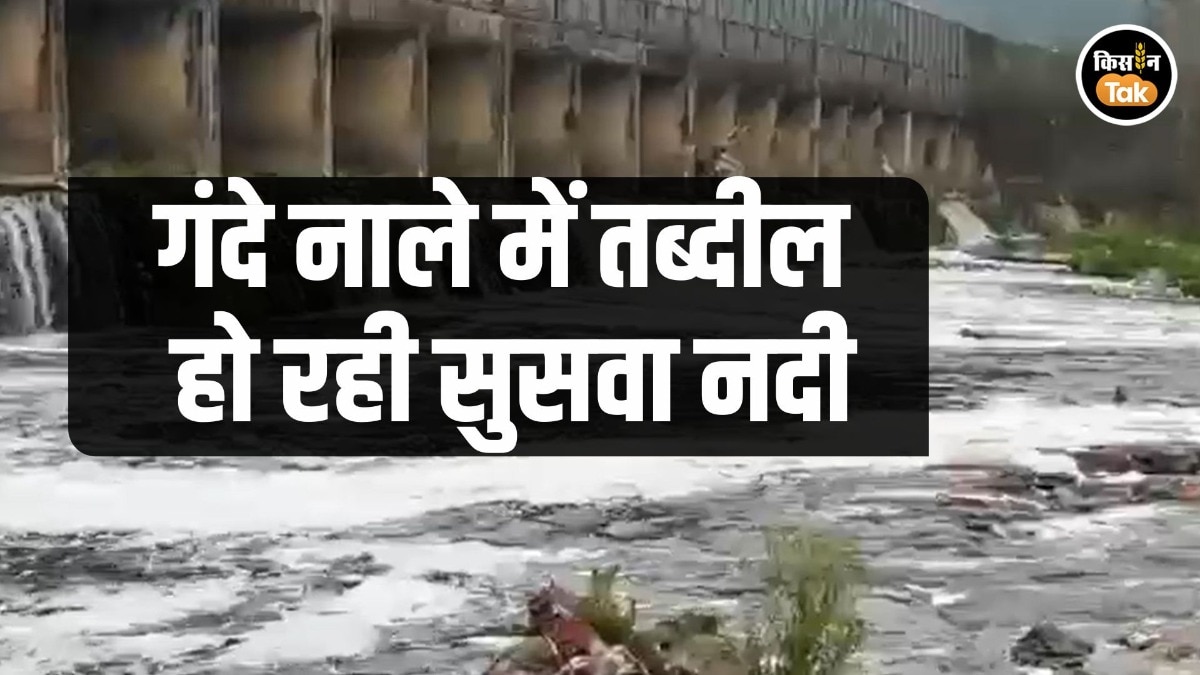 Suswa River Pollution 