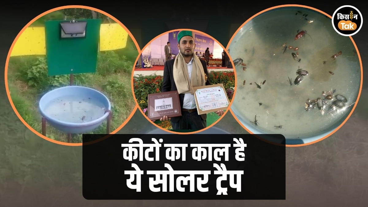 Innovative Farmer: युवा किसान ने बनाया कमाल का सोलर ट्रैप, सेब के 'रूट बोरर' कीट का होगा सफाया