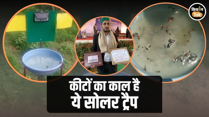 Young farmer makes amazing solar trap