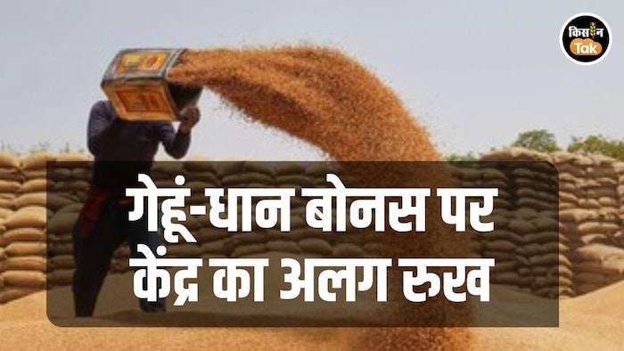 धान-गेहूं के बोनस पर केंद्र का अलग रुख (सांकेतिक तस्वीर)