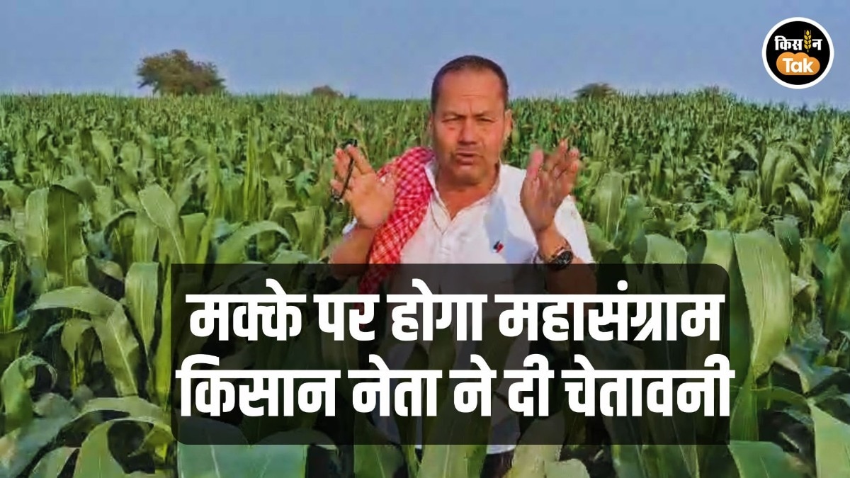 Farmers Protest: मक्‍का किसानों के हक में 'महासंग्राम' का ऐलान! किसान संगठन ने सरकार को दी चेतावनी