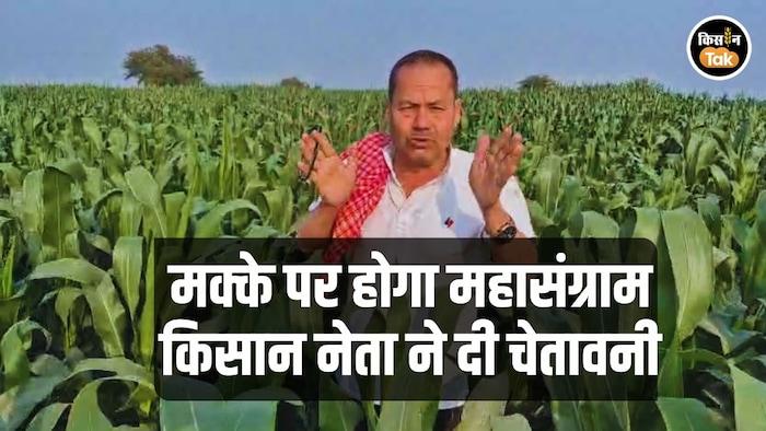 Maize Price Farmer Leader Warning