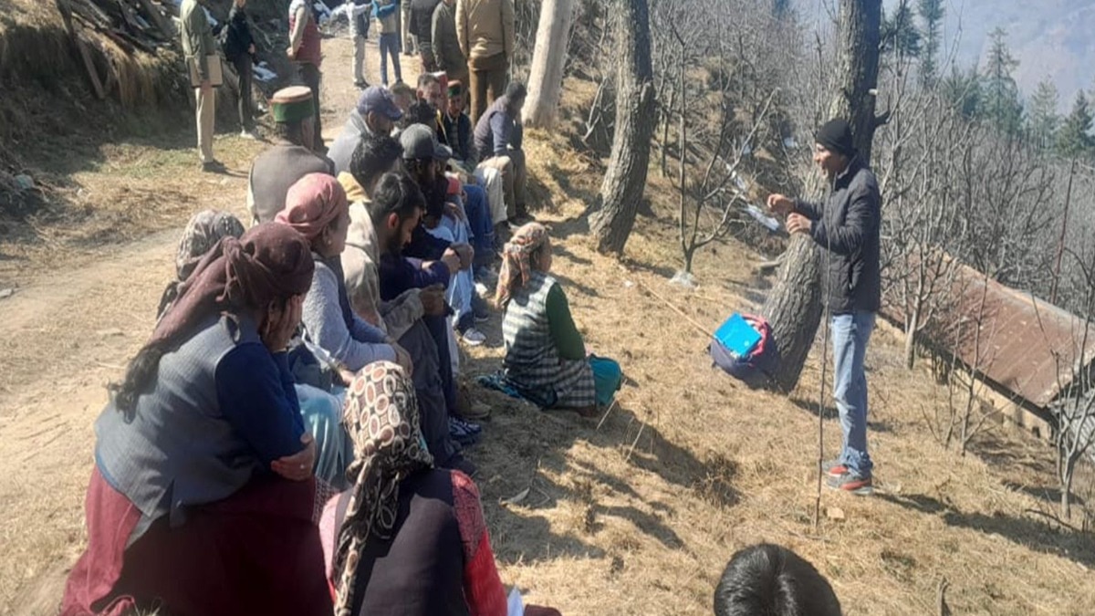 shimla apple farmers