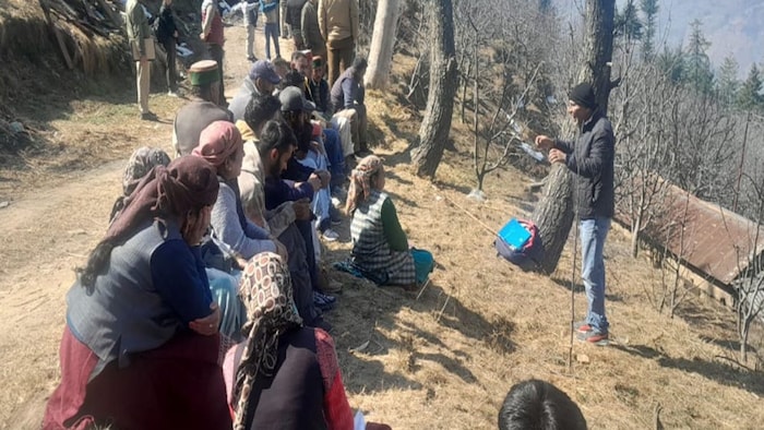 shimla apple farmers