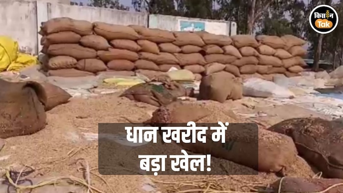 900 बोरी धान गायब