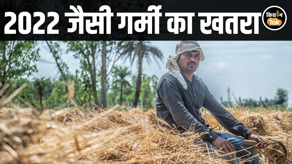 Punjab heatwave wheat impact