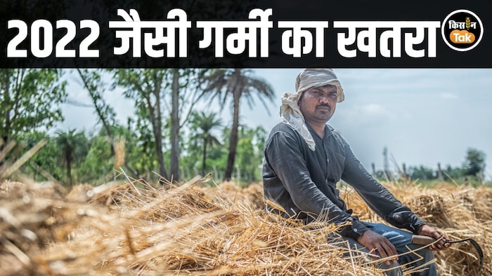 Punjab heatwave wheat impact