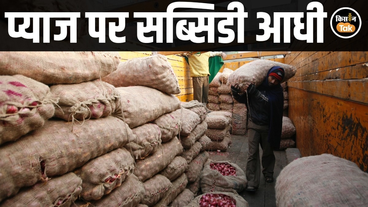 केंद्र का बड़ा फैसला: प्याज एक्सपोर्ट कंसेशन 50% घटा, किसान संगठनों में गुस्सा