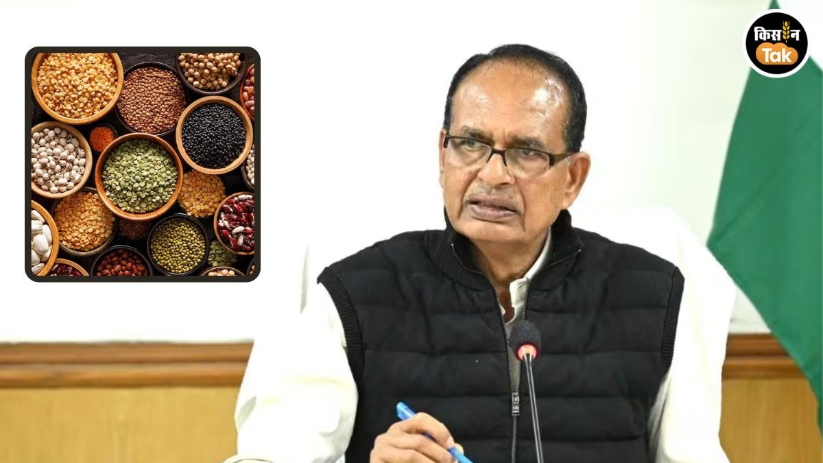 शिवराज सिंह ने की राज्यों के साथ वर्चुअल बैठक, रबी 2026 में चना, सरसों और मसूर की खरीद को मंजूरी