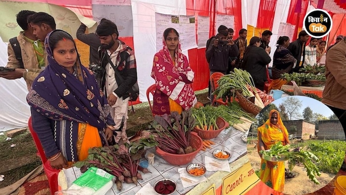 ये सभी महिलाएं पारंपरिक खेती से आगे बढ़कर रीजेनरेटिव एग्रीकल्चर अपना रही हैं