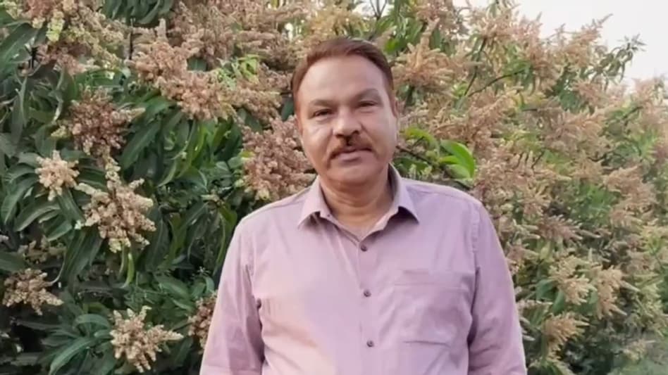 जनवरी में आए बौर, अब सूनी डालियां: बदलते मौसम ने बढ़ाई आम उत्पादकों की चिंता जनवरी में आए बौर, अब सूनी डालियां: बदलते मौसम ने बढ़ाई आम उत्पादकों की चिंता