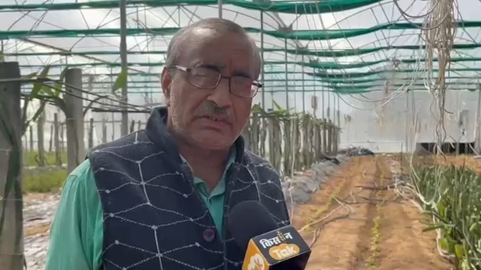 7 एकड़ में खेती... पॉलीहाउस से स्थिर हुई आय, रिटायर्ड इंजीनियर ने बुंदेलखंड में बनाया मॉडल इंदिरा फार्म 7 एकड़ में खेती... पॉलीहाउस से स्थिर हुई आय, रिटायर्ड इंजीनियर ने बुंदेलखंड में बनाया मॉडल इंदिरा फार्म