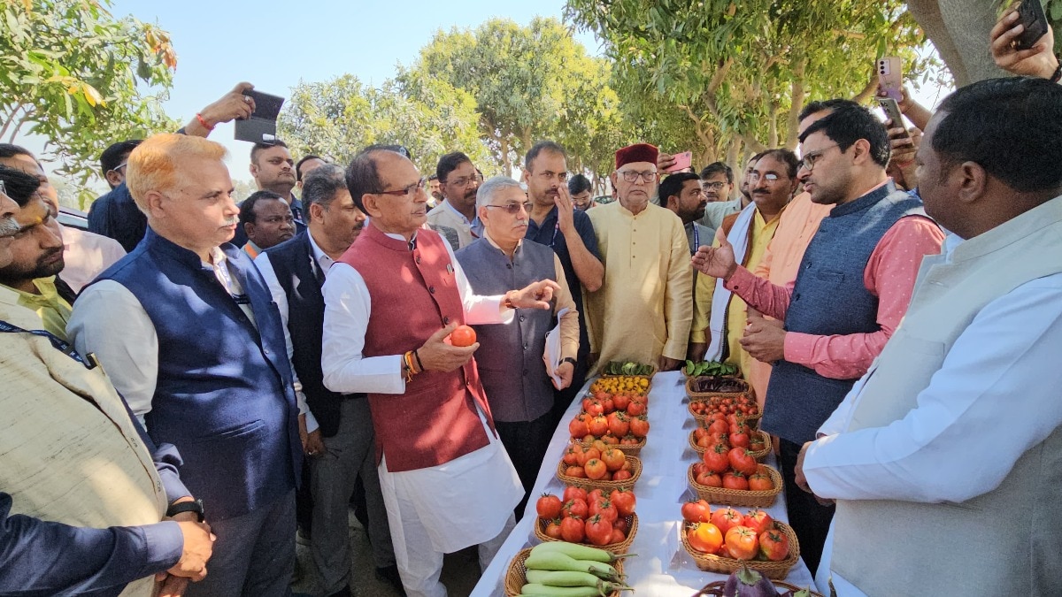 अब नहीं सड़ेगा टमाटर, बढ़ेगा निर्यात: शिवराज सिंह चौहान ने तय किया सब्जी सेक्टर का नया रोडमैप