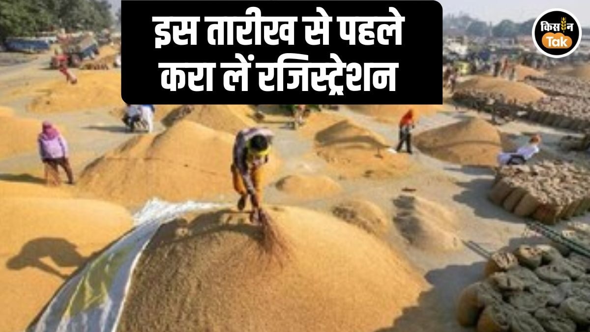 MP Wheat Procurement Registration
