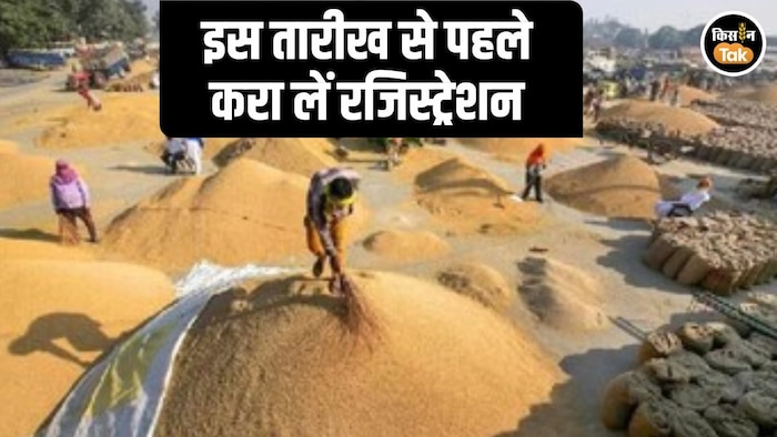 MP Wheat Procurement Registration