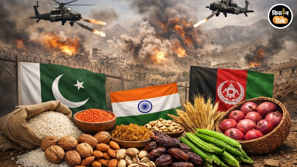 अफगान- पाक से क्या खरीदता है भारत (AI- तस्वीर)