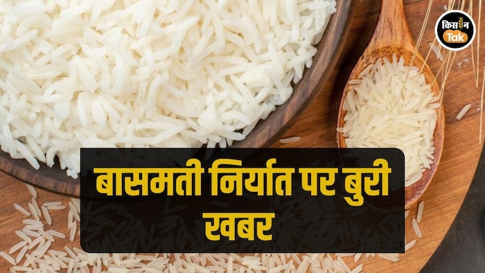 भारतीय बासमती निर्यात पर पड़ा गहरा असर