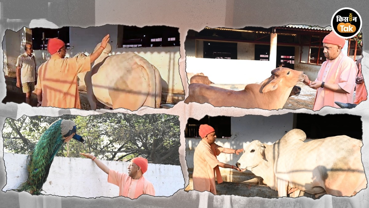 मुख्यमंत्री योगी आदित्यनाथ 