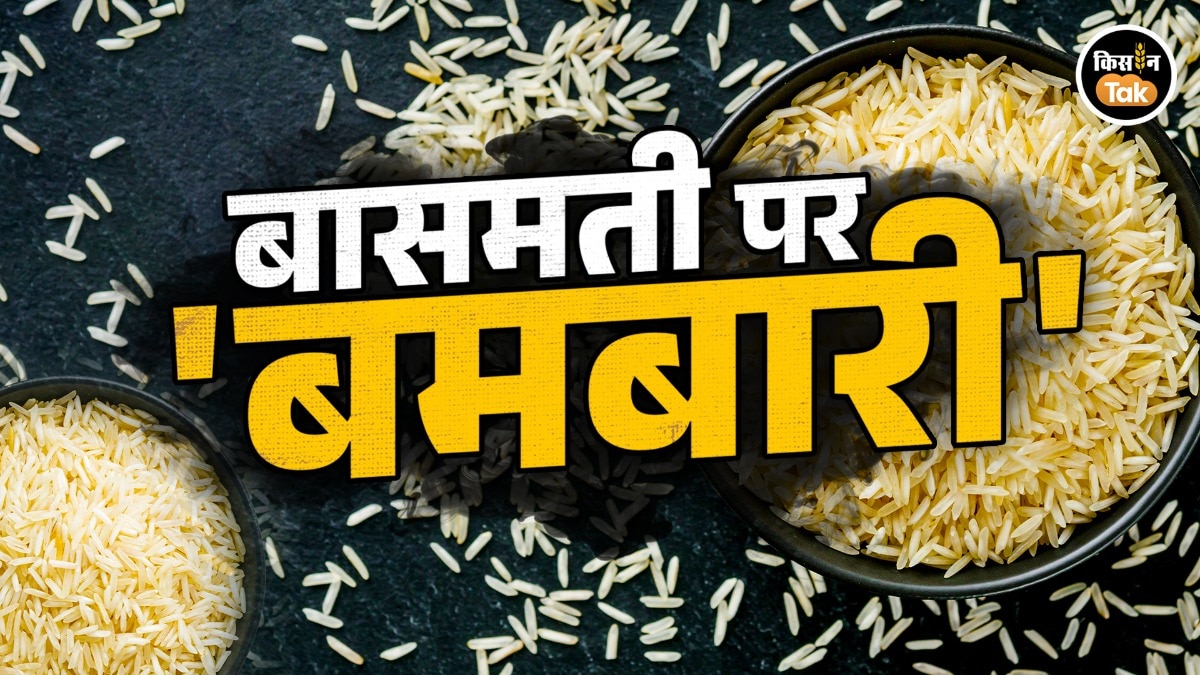 Iran US conflict impact