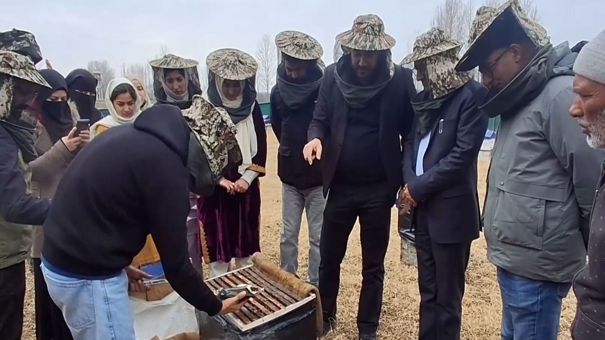 Apple Orchards Bee Keeping and lavender Farming