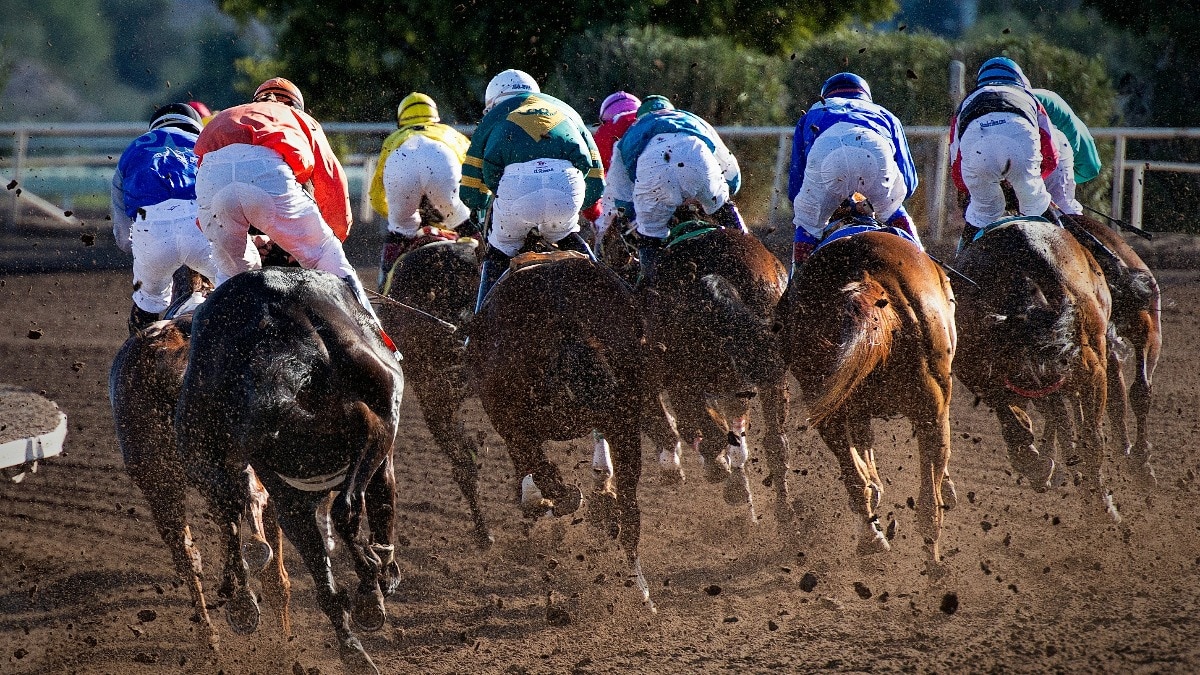 Horse racing