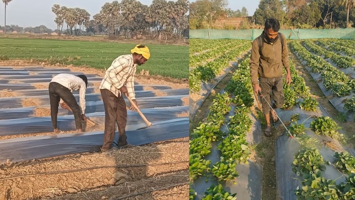 तापमान में हो रही बढ़ोतरी को देखते हुए किसानों को अलर्ट किया गया है