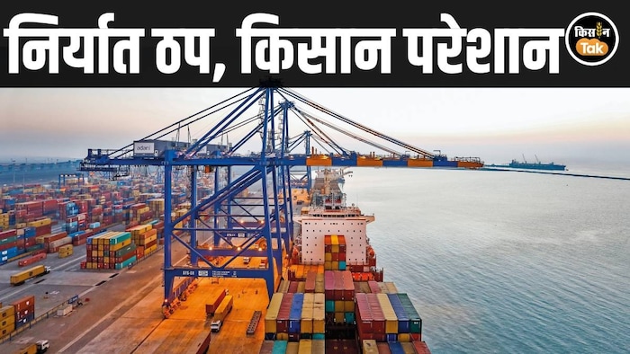 Maharashtra export crisis