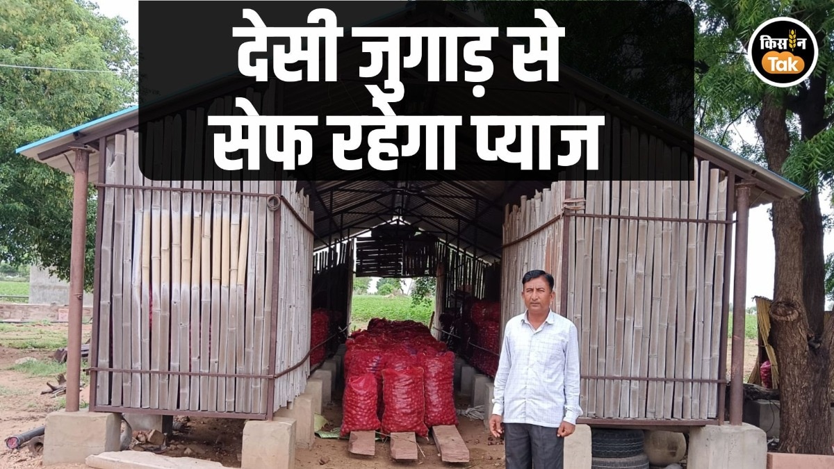 Desi Onion Storage Rajasthan Farmer