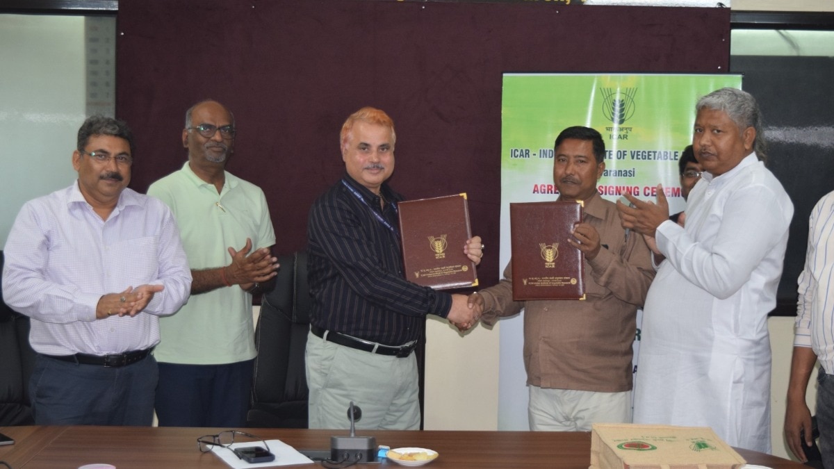 किसानों की आय बढ़ाने में IIVR की बड़ी पहल, 20 उन्नत सब्जी किस्मों के लिए दो कंपनियों से करार