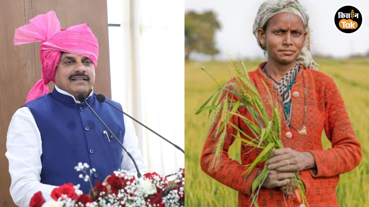 किसानों के लिए खुशखबरी, गेहूं और उड़द पर इतने रुपये का बोनस देगी MP सरकार