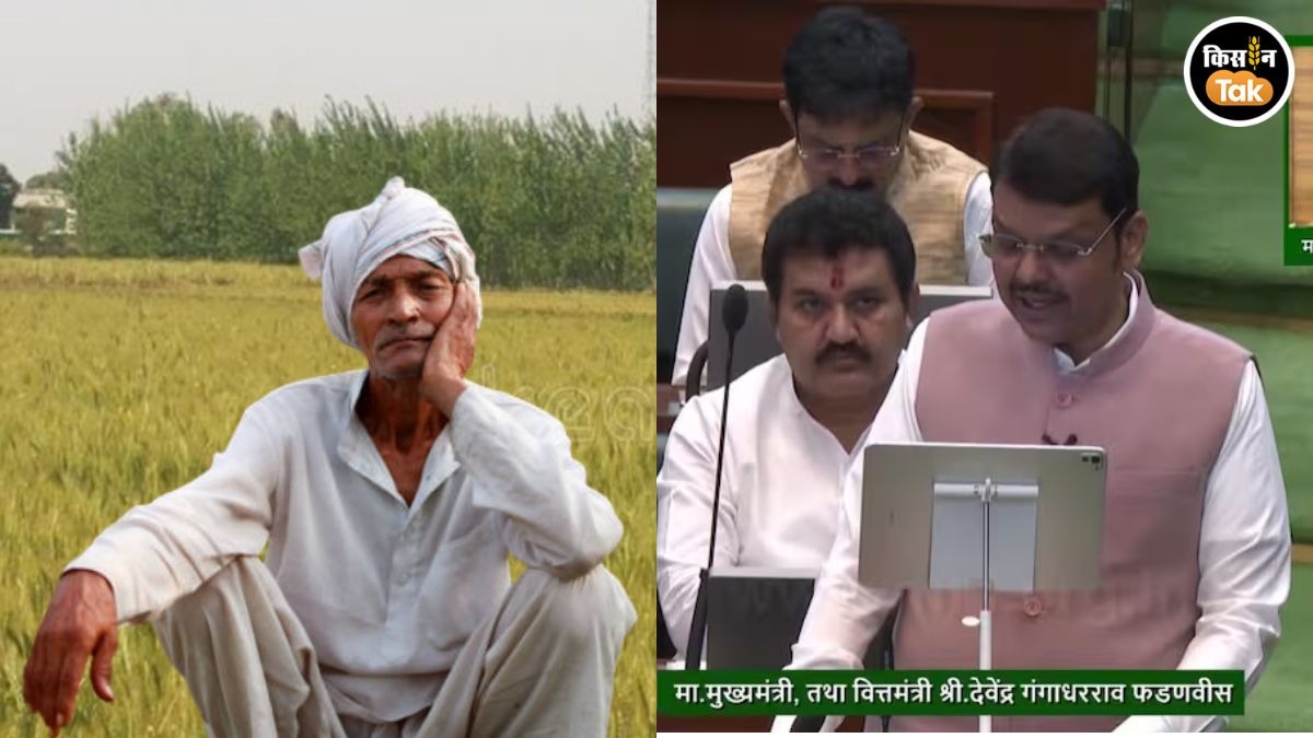 मुख्यमंत्री देवेंद्र फडणवीस