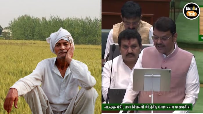 मुख्यमंत्री देवेंद्र फडणवीस