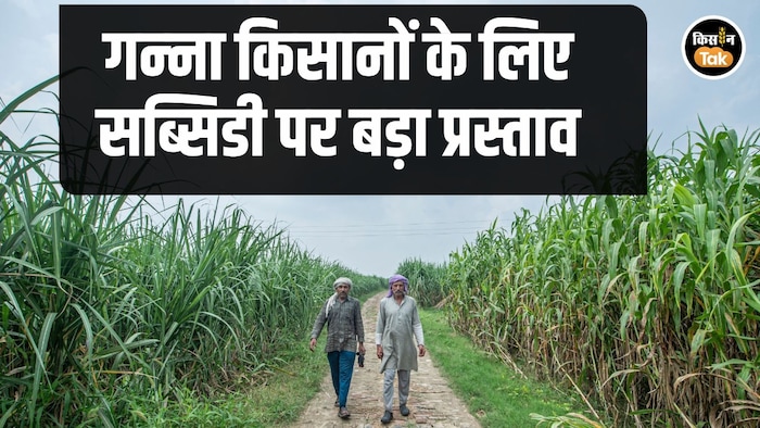 Sugarcane Subsidy Haryana