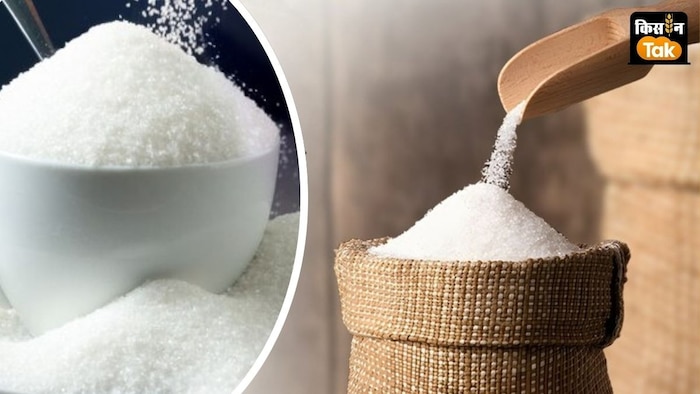 Sugar Production estimate decline