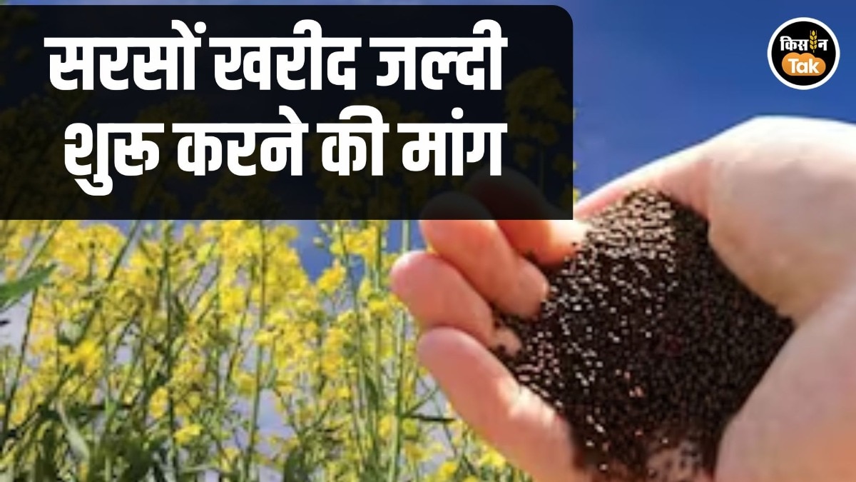 Mustard Procurement Issue