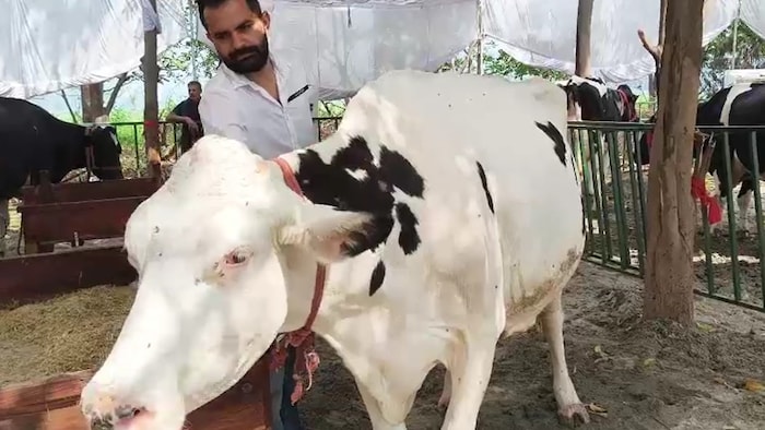 Karnal Dairy Fair