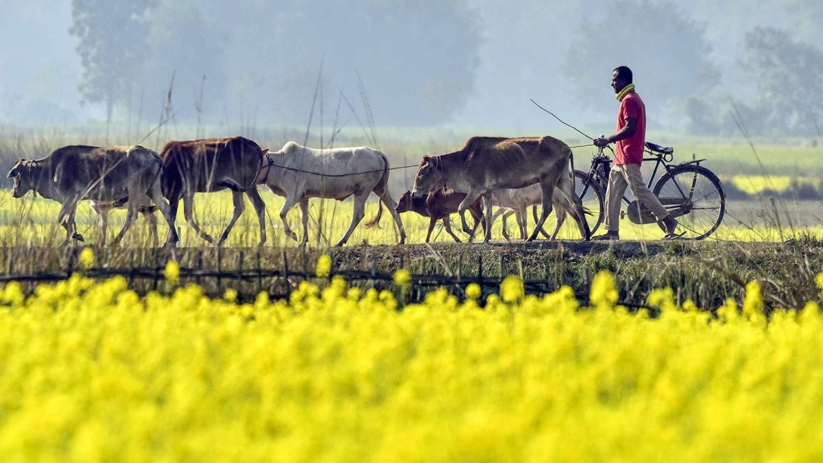 कर्नाटक के तुमकुर में कलेक्‍ट्रेट के सामने धरने पर बैठे सैकड़ों किसान, खेती की जमीन पर मांगा अध‍िकार