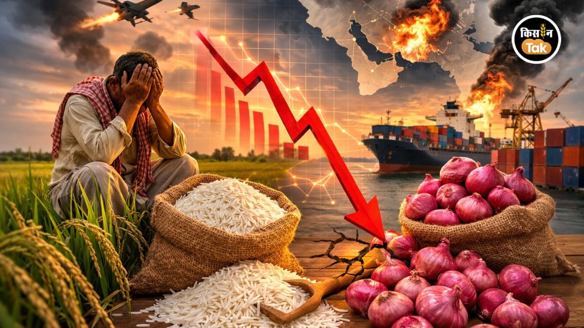 मिडिल ईस्ट में युद्ध और भारत का कृषि व्यापार