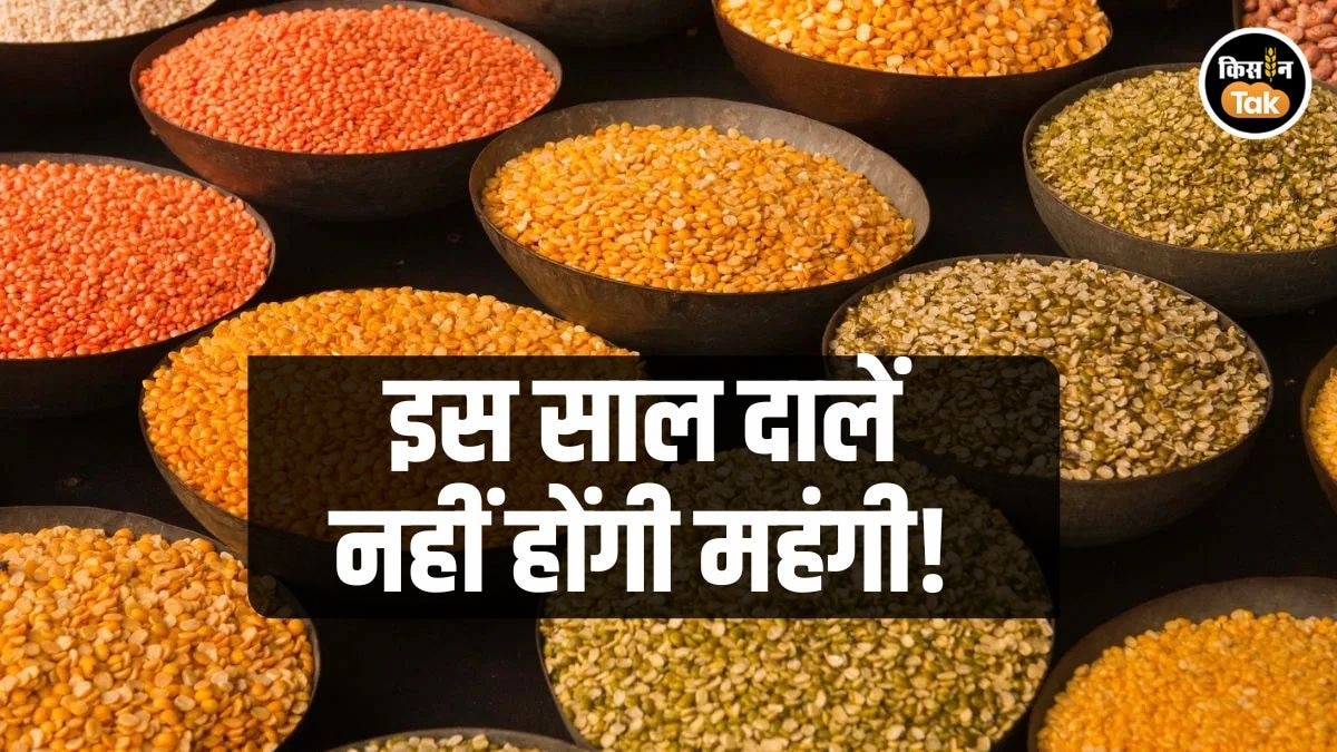 दालों के दाम