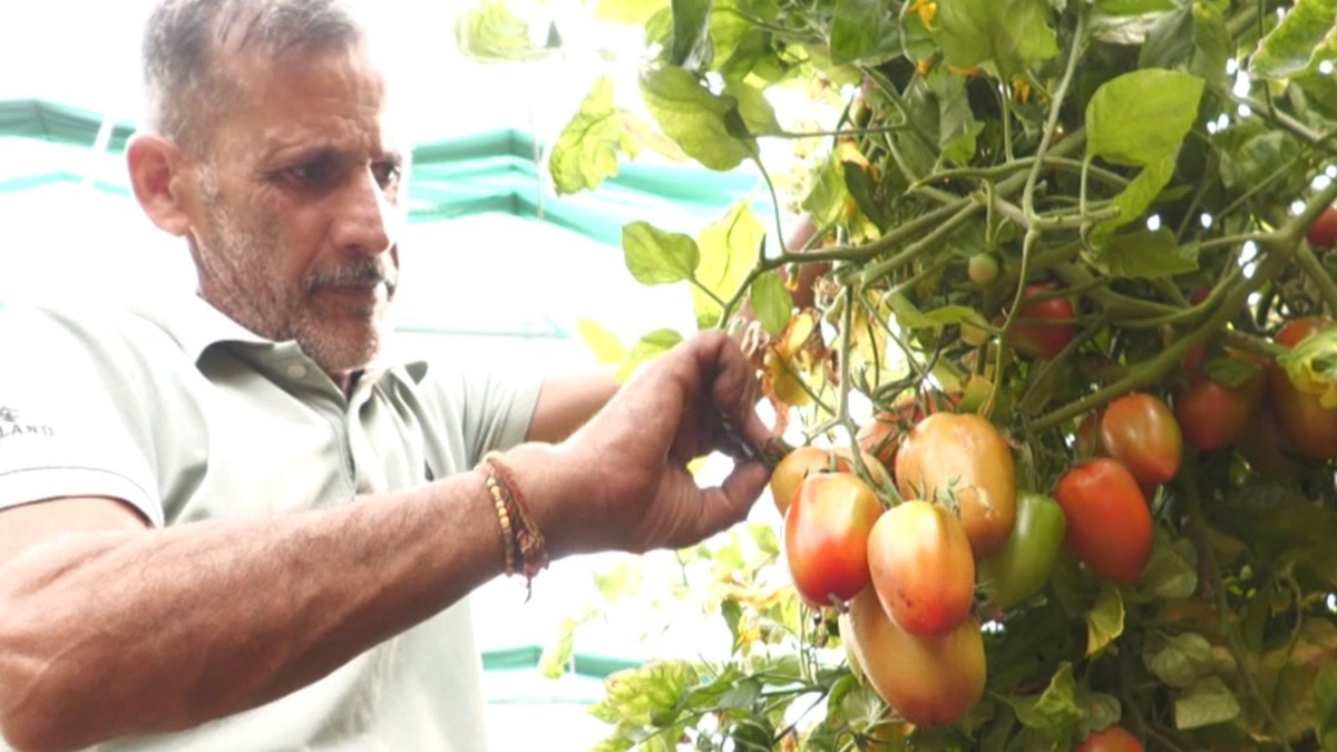 Jammu Kashmir farmer success story