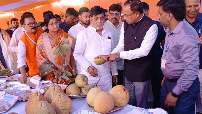 रामकृपाल यादव