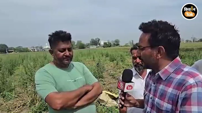 Sangrur Temperature Rise Crop Damage