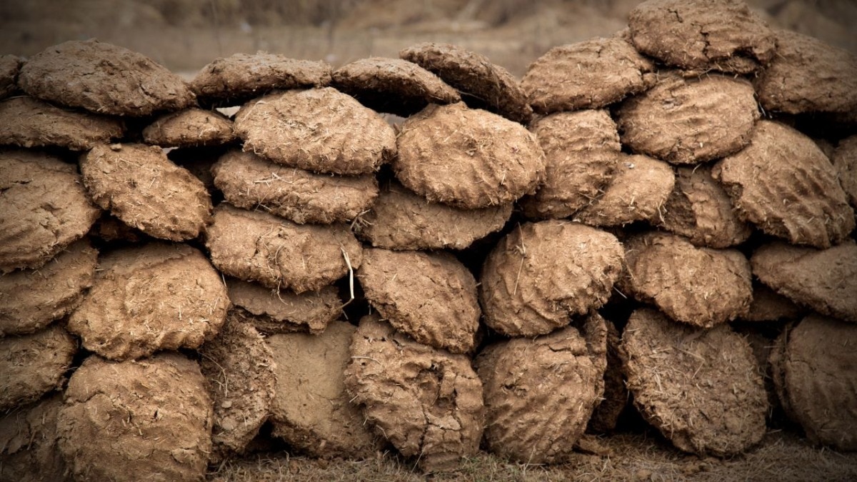 LPG की कमी के बीच नई पहल