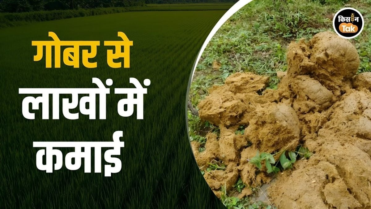 गोबर से बना प्राकृतिक पेंट