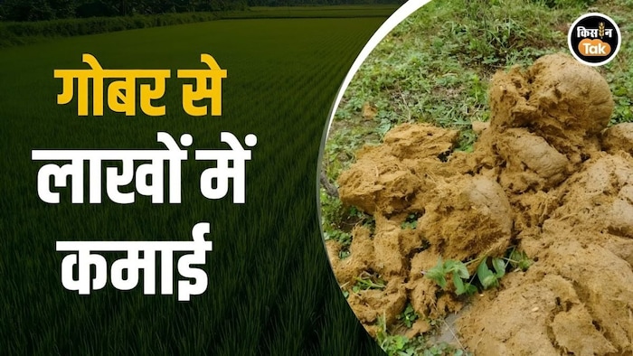 गोबर से बना प्राकृतिक पेंट