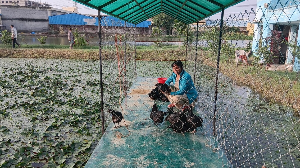 मंजू कश्यप ने खुद बनाया बिजनेस का खास मॉडल