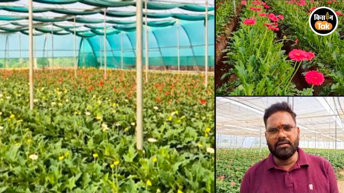 बाराबंकी के किसान नीरज पटेल बने आत्मनिर्भर