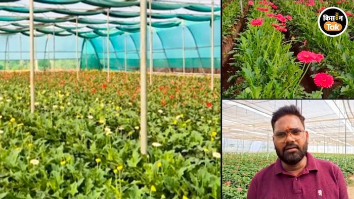 बाराबंकी के किसान नीरज पटेल बने आत्मनिर्भर
