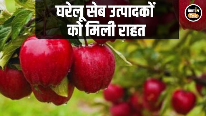 apple Price kashmir