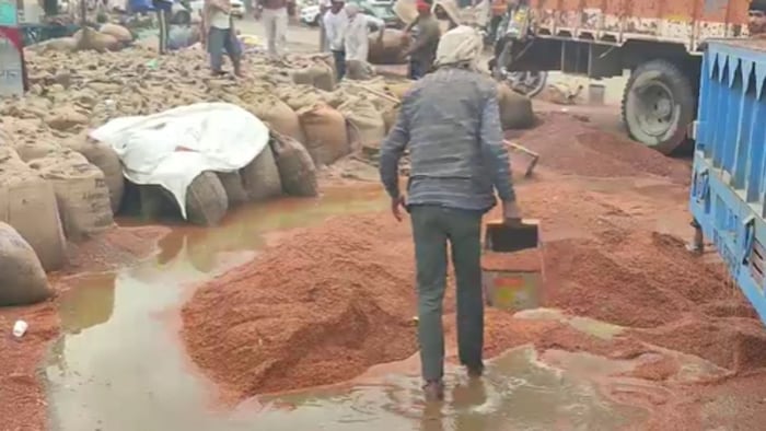 ओलावृष्टि से कई राज्यों में फसलें चौपट